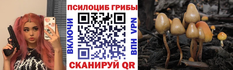 Галлюциногенные грибы ЛСД  Нижняя Салда 